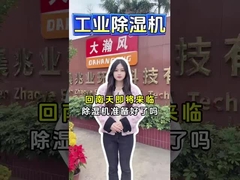 Máy khử ẩm Desiccant công nghiệp Để loại bỏ độ ẩm hiệu quả Giữ không gian mát mẻ và khô