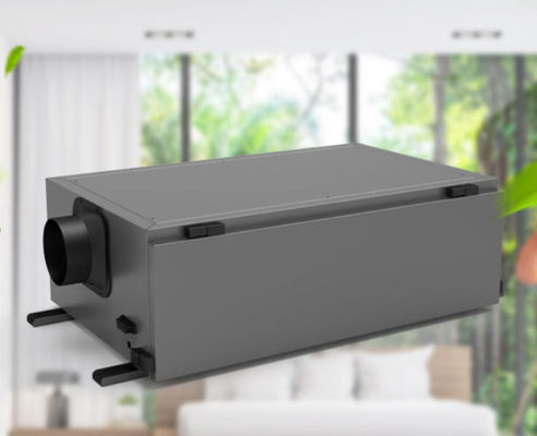 Giá tốt. Máy khử ẩm mạnh mẽ 480w Để ngăn ngừa nấm mốc và kiểm soát độ ẩm trực tuyến