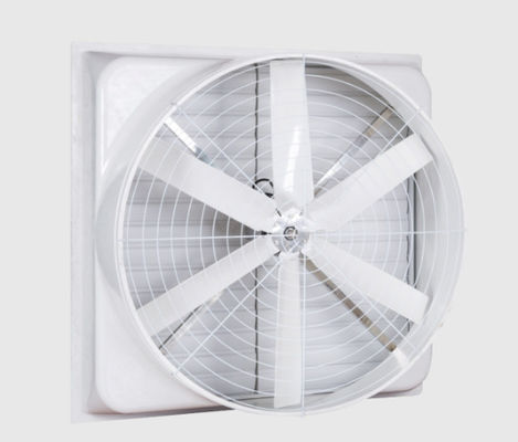 Giá tốt. Máy quạt áp suất âm bằng sợi thủy tinh trực tiếp 370rpm với tấm galvanized trực tuyến